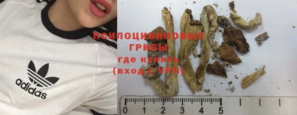 альфа пвп Магас