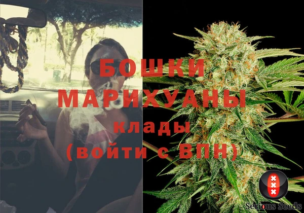 амф Майский