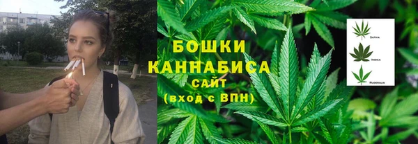амф Майский