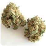Шишки "White Widow"  (Белая вдова)  Гидропоника -  Бошка VHQ в Уяре